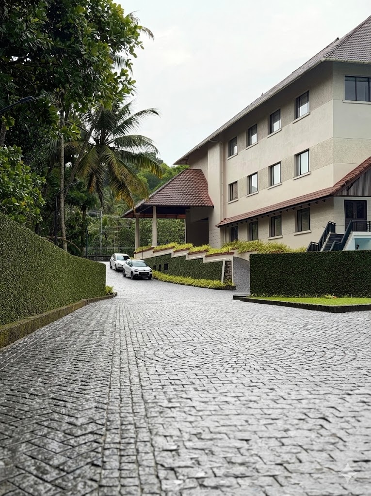 Premium Interlock Pavers 4